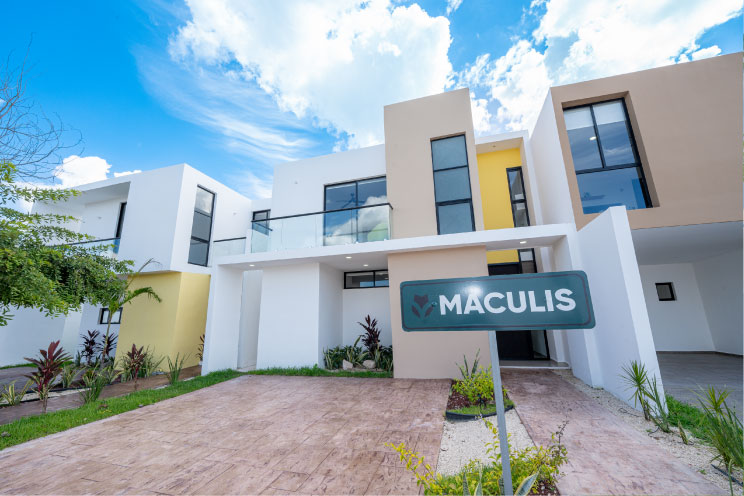Mod.maculis
